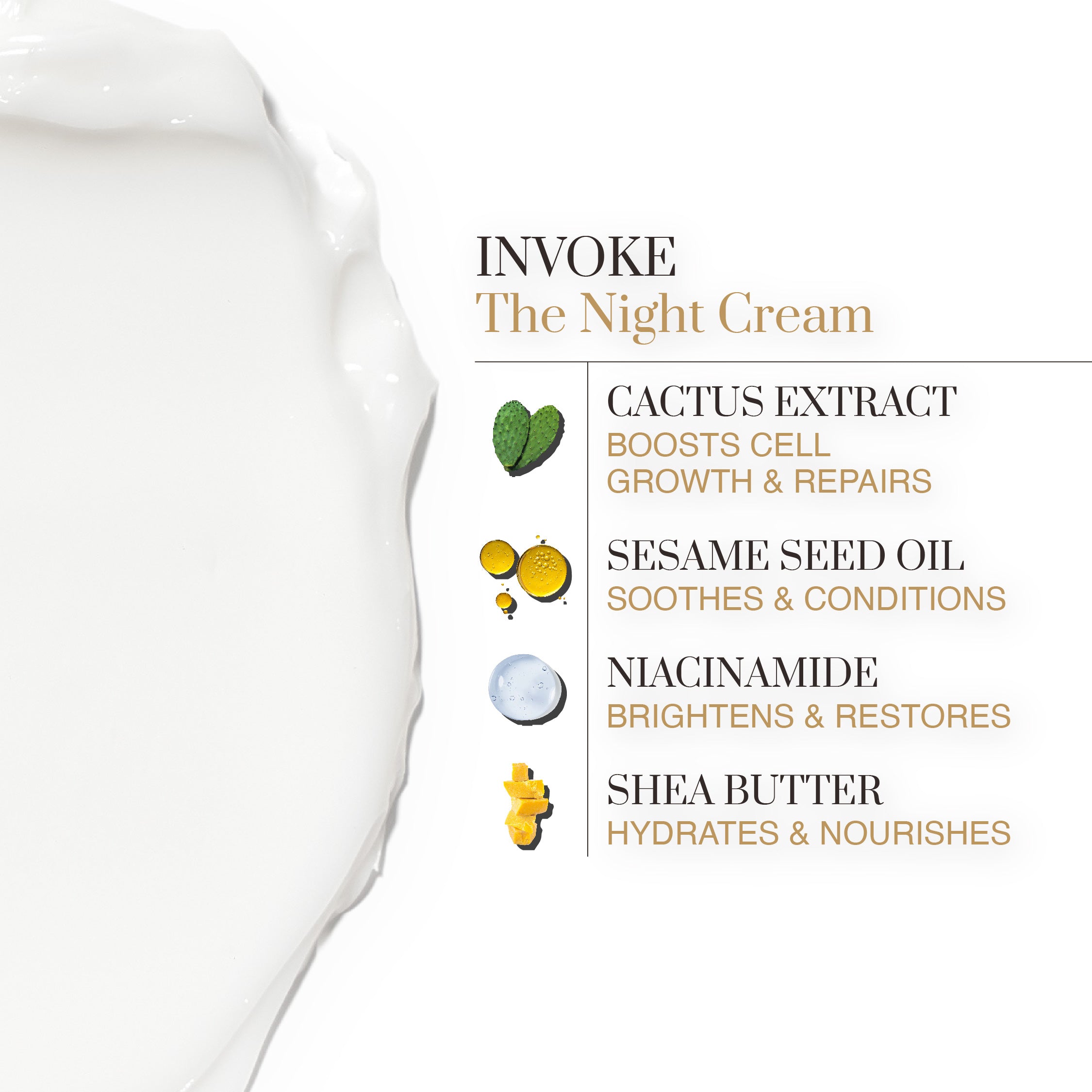 MIAGE INVOKE The Night Cream