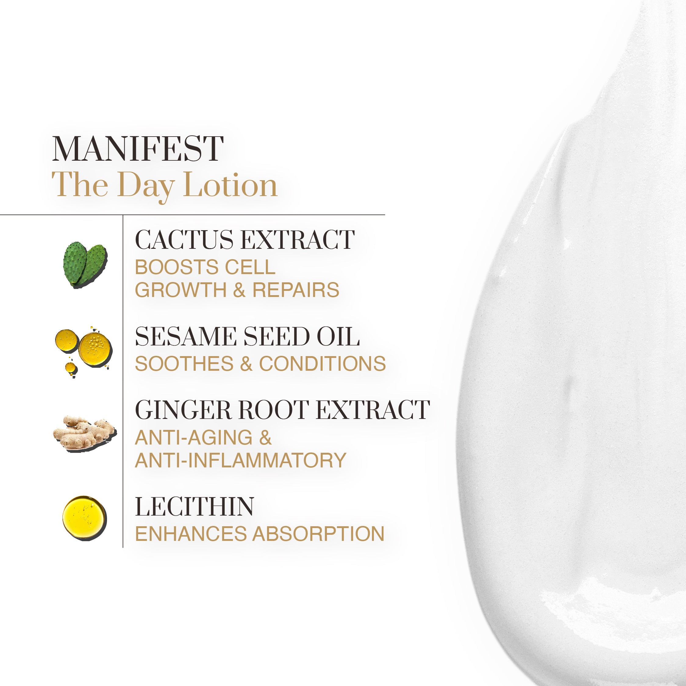 MIAGE MANIFEST The Day Lotion